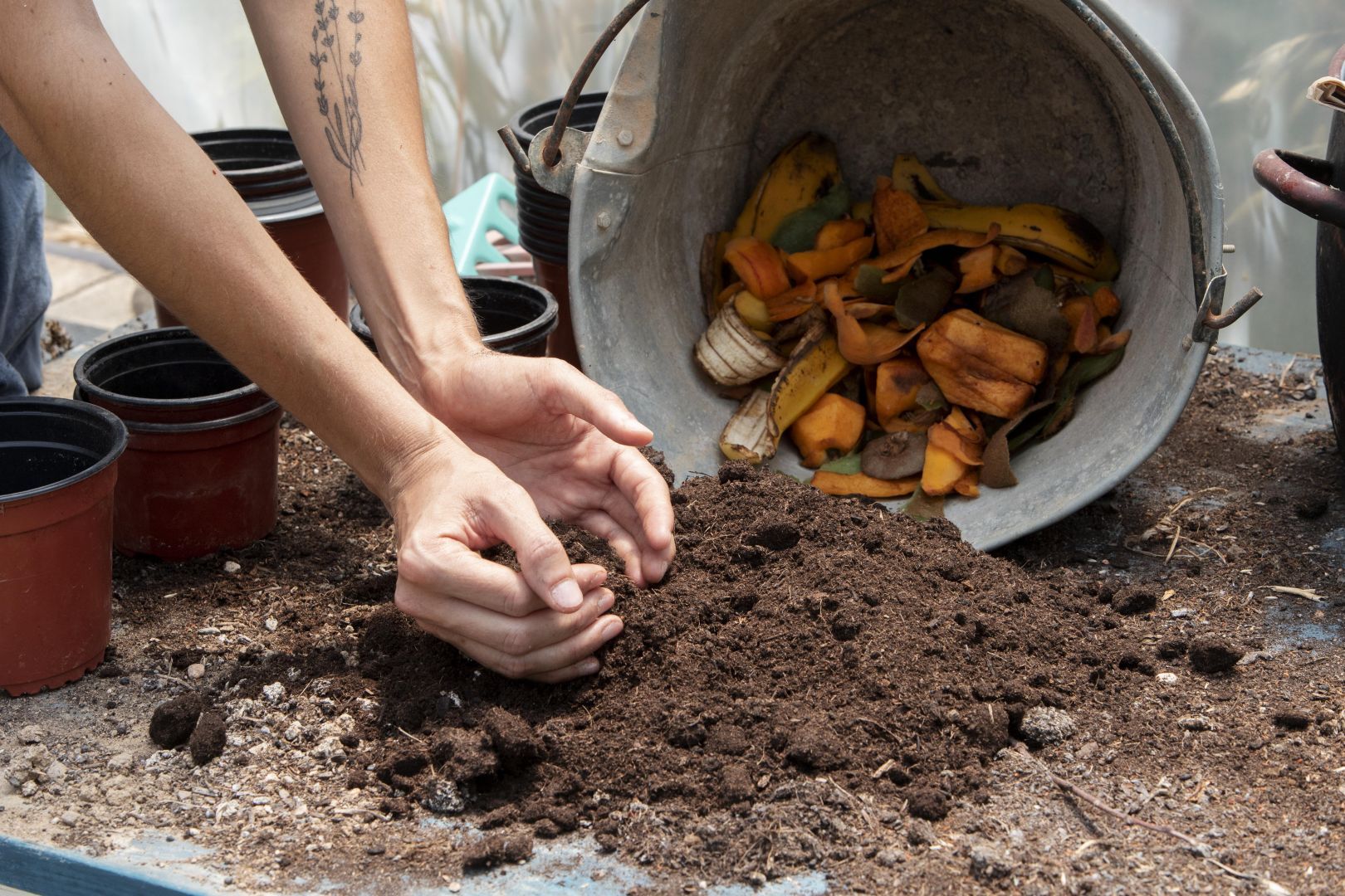 Estos son los 5 alimentos que nunca debes echar al compostador