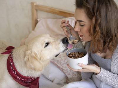 8 alimentos que nunca debes dar a tu perro