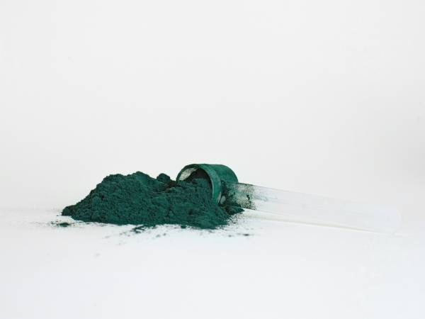 Espirulina: el alga que te ayuda a reducir el colesterol y los triglicéridos de forma natural