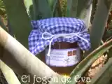 Receta Mermelada de aloe vera y manzana