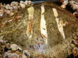 Receta Rodaballo al horno con almejas