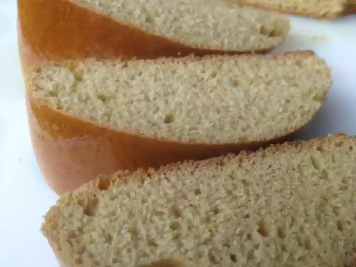 Acemita tocuyana - foto 3