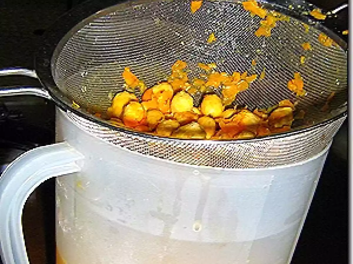 AGUA DE JOBITO (JOBO) CIRUELA DE MONTE CÓMO SE PREPARA - foto 3