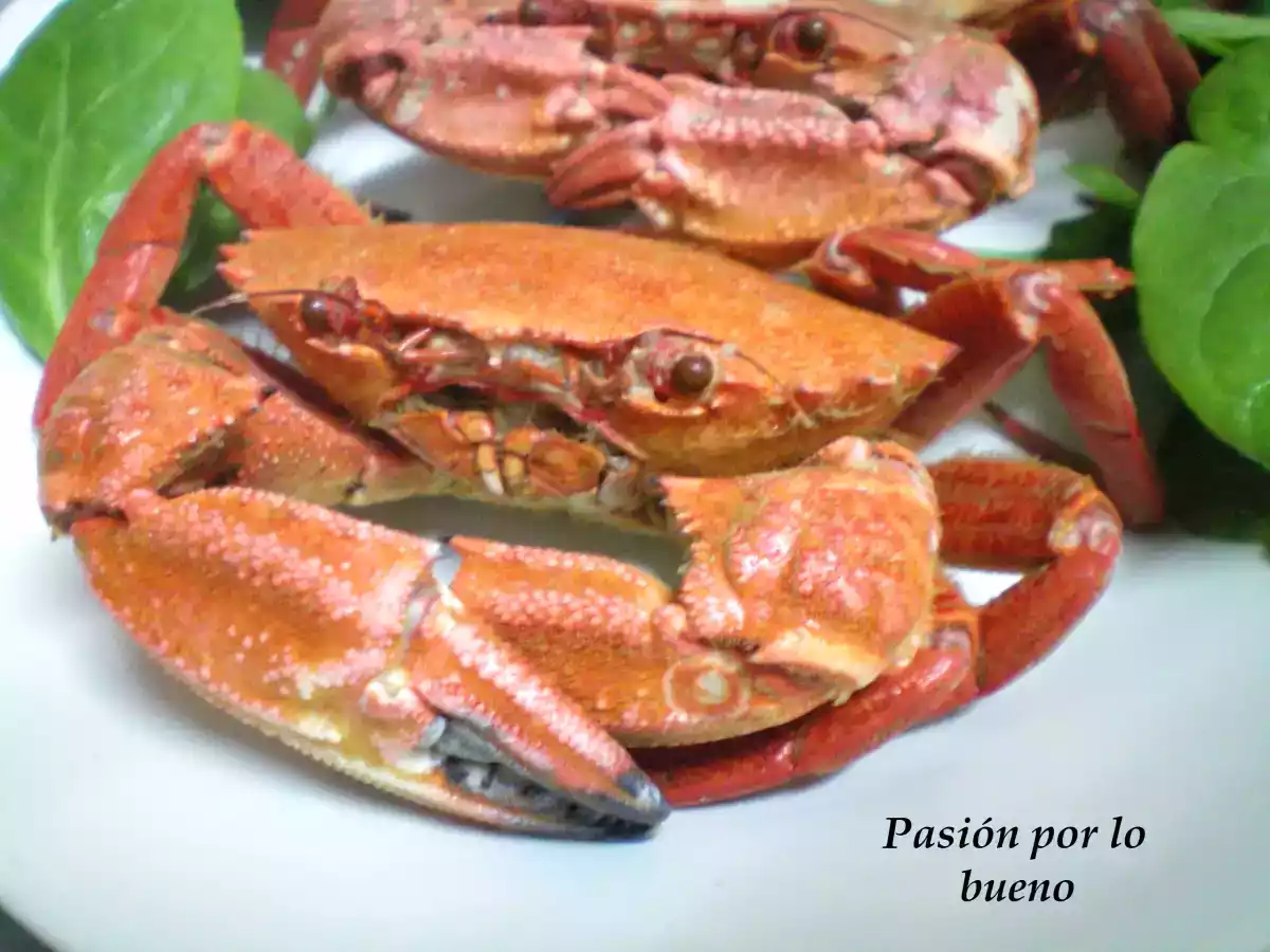 Andaricas (nécoras) cocidas - foto 3