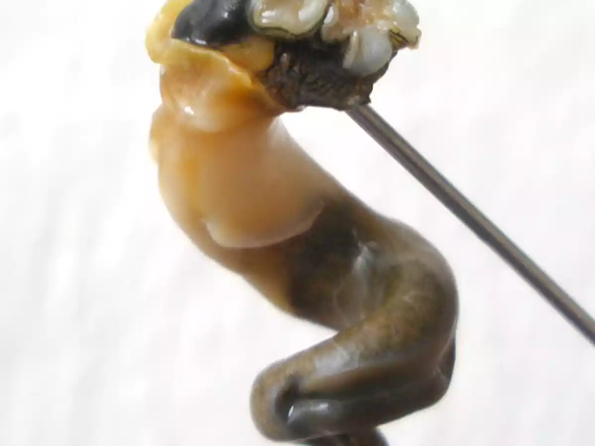 Bígaros Cocidos en su Jugo