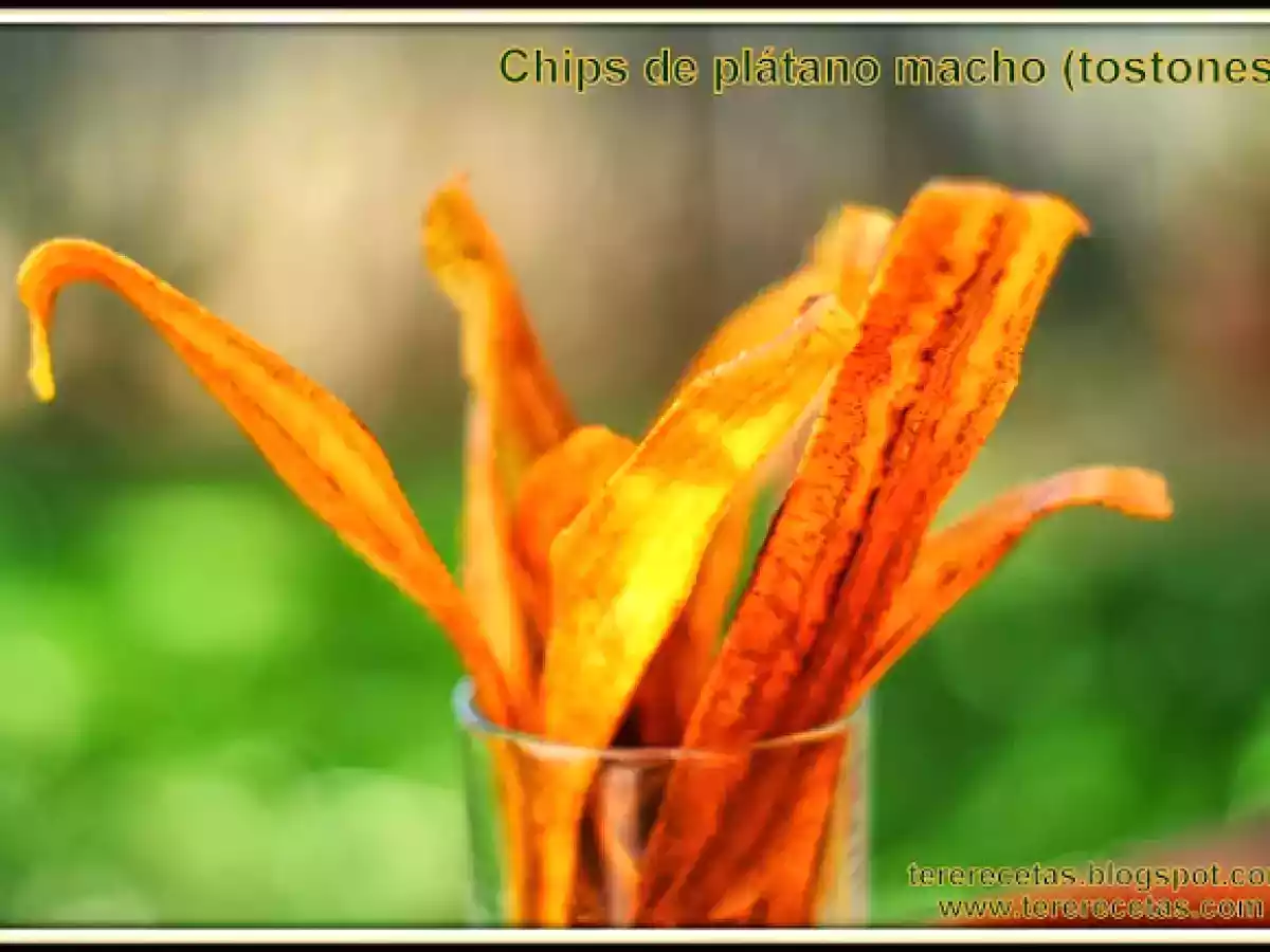 Chips de plátano macho (tostones)
