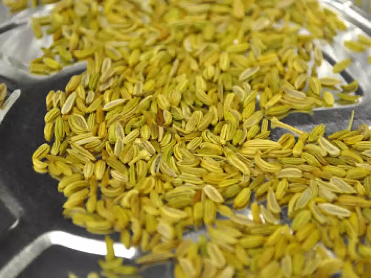 Chorizo Italiano - foto 2