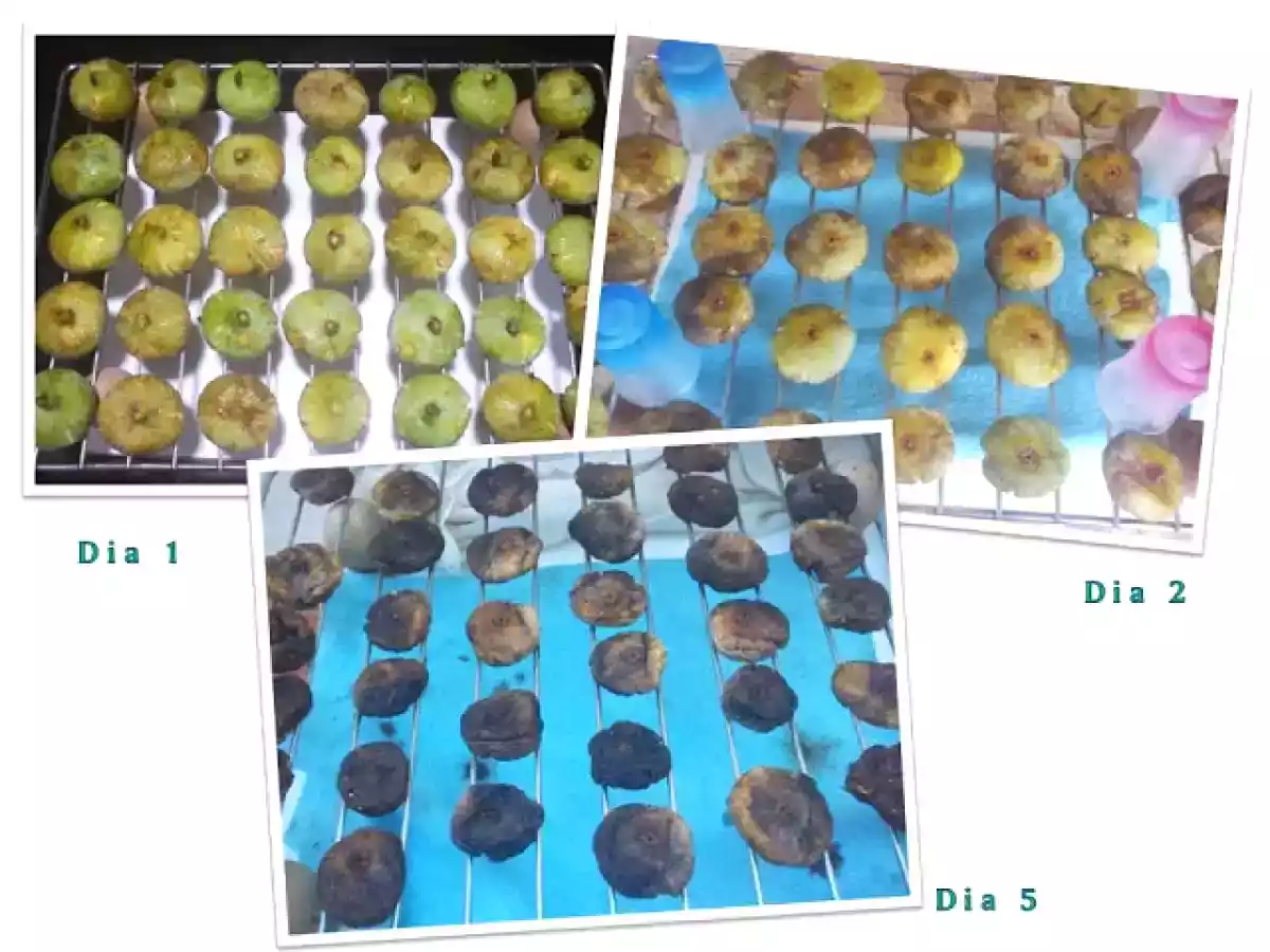 Cómo secar higos de temporada - foto 2