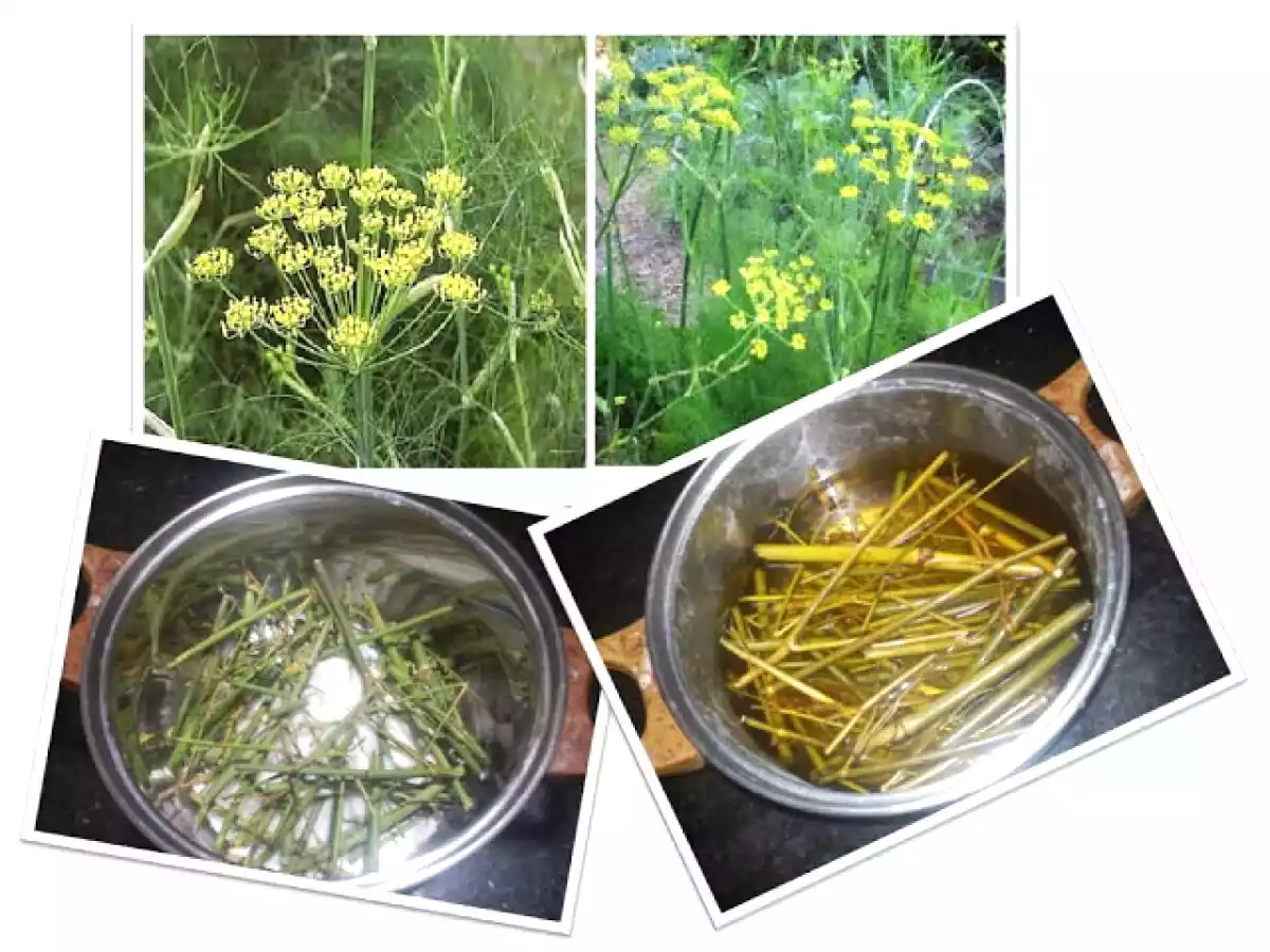 Cómo secar higos de temporada - foto 3