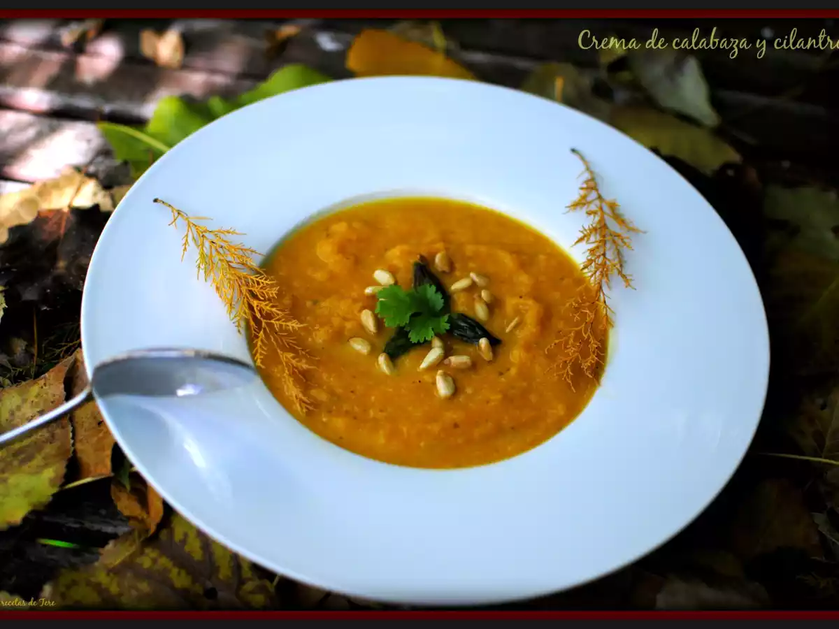 Crema de calabaza y cilantro - foto 2