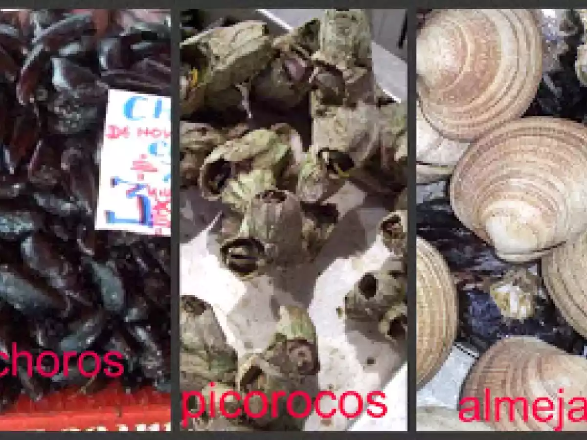 Curanto en olla o pulmay - foto 8