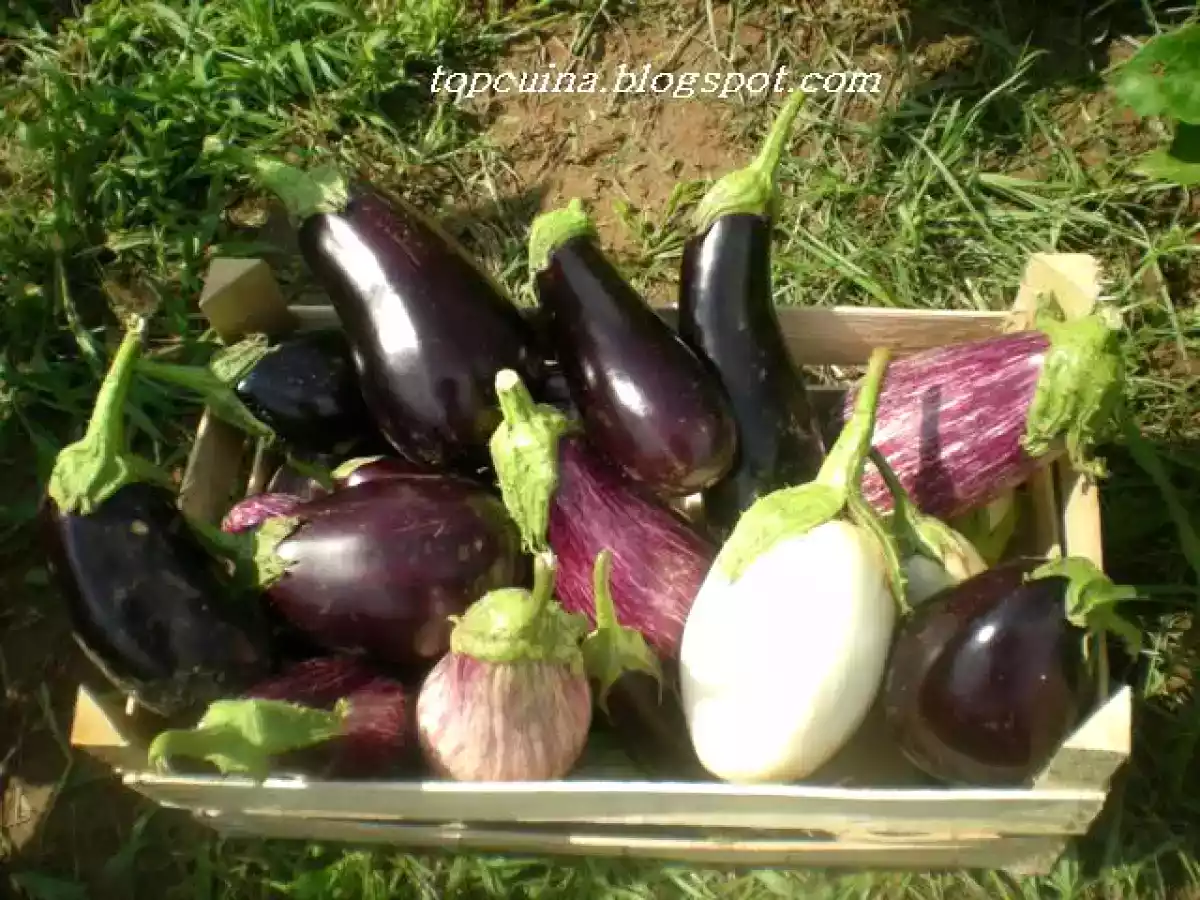 Escalivada o escalibada catalana - foto 3