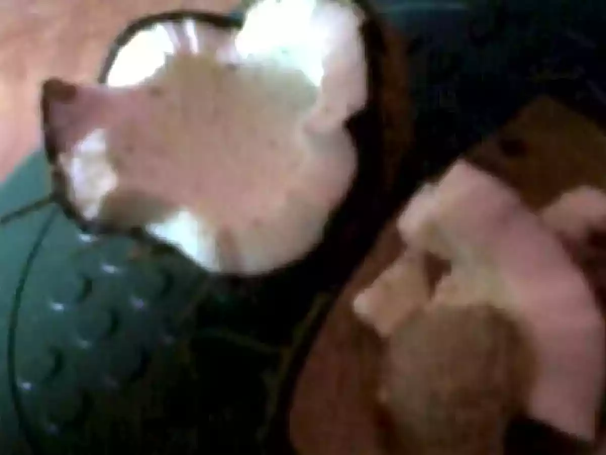 Helados caseros de coco - foto 2