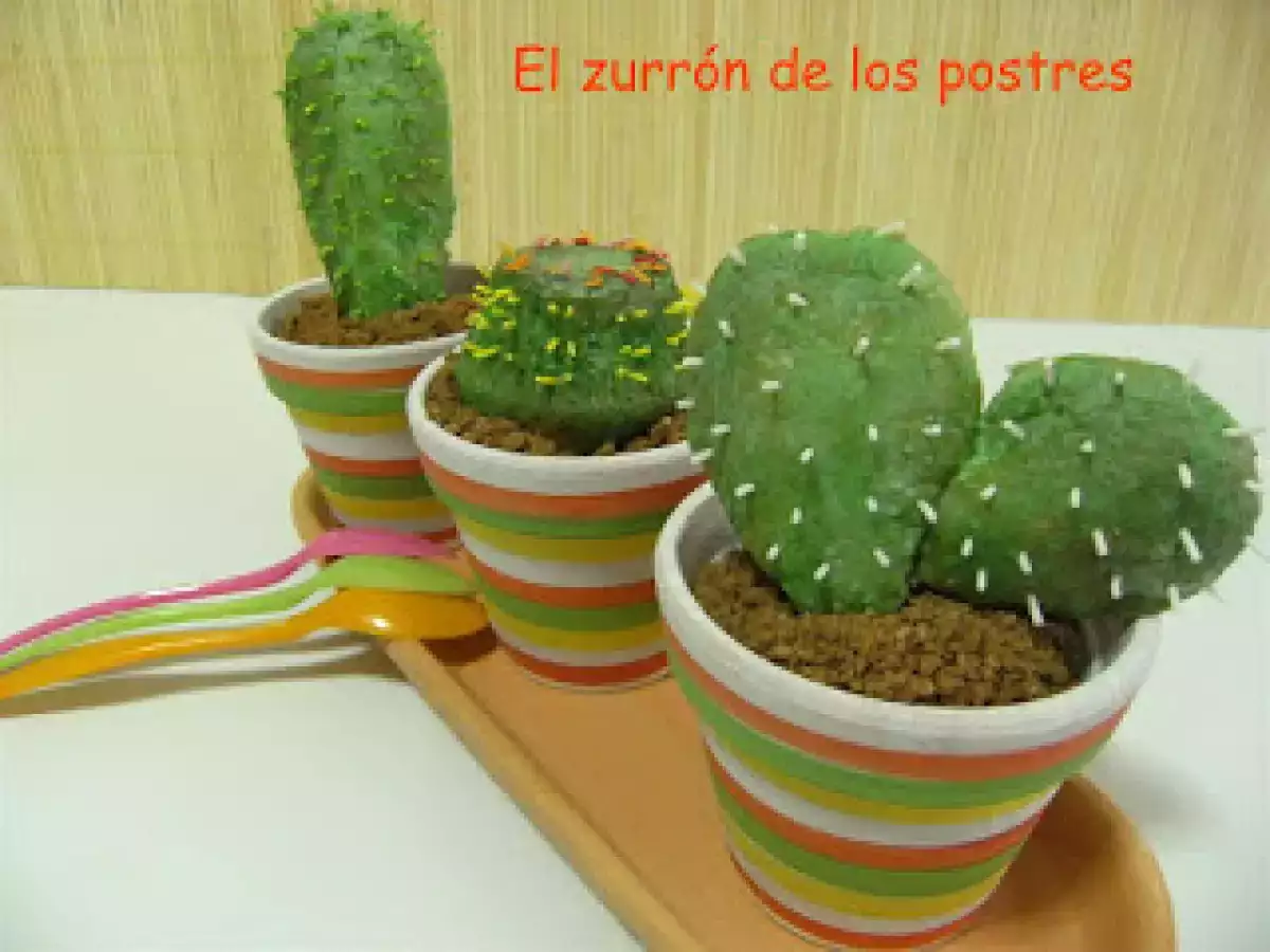 Macetas de Cactus Sweets