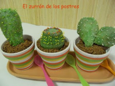 Macetas de Cactus Sweets - foto 3