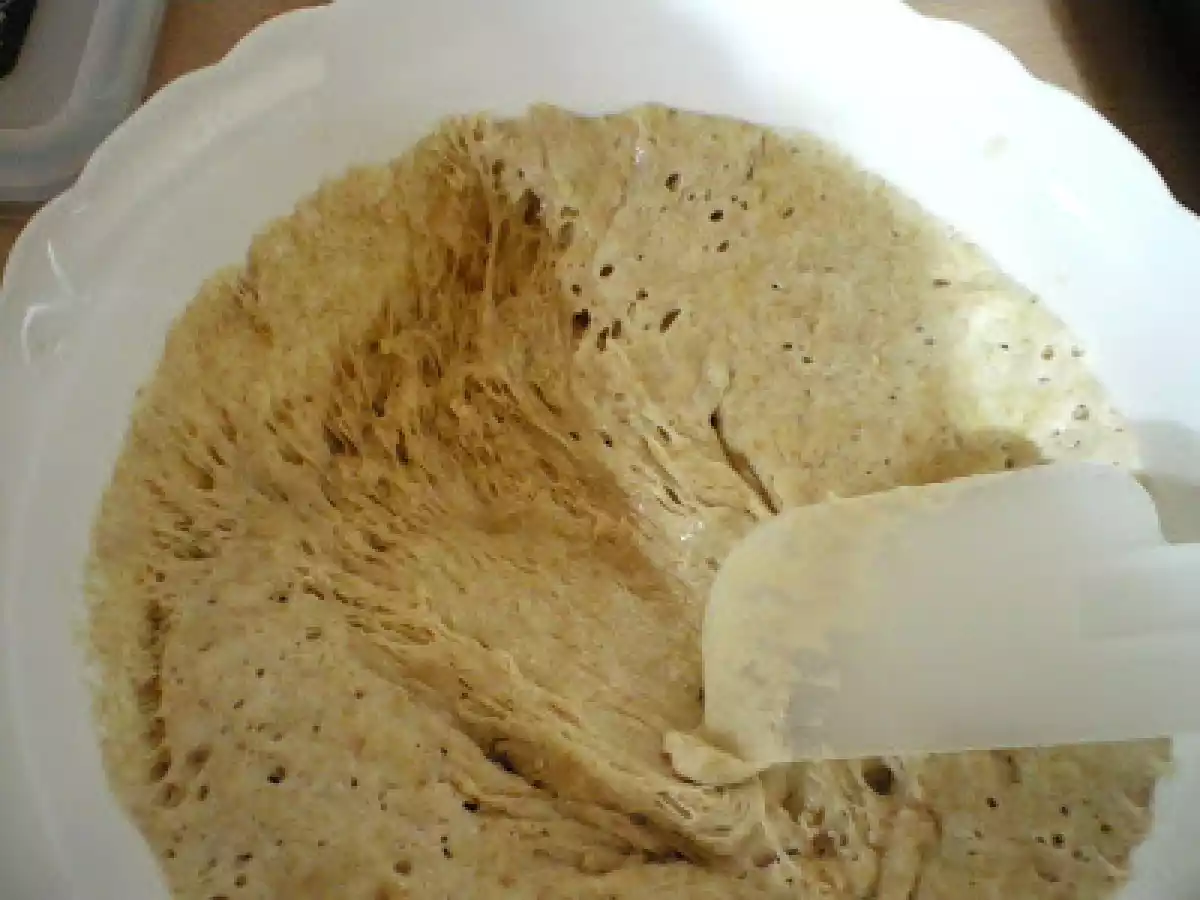 MASA MADRE DE RICHARD BERTINET