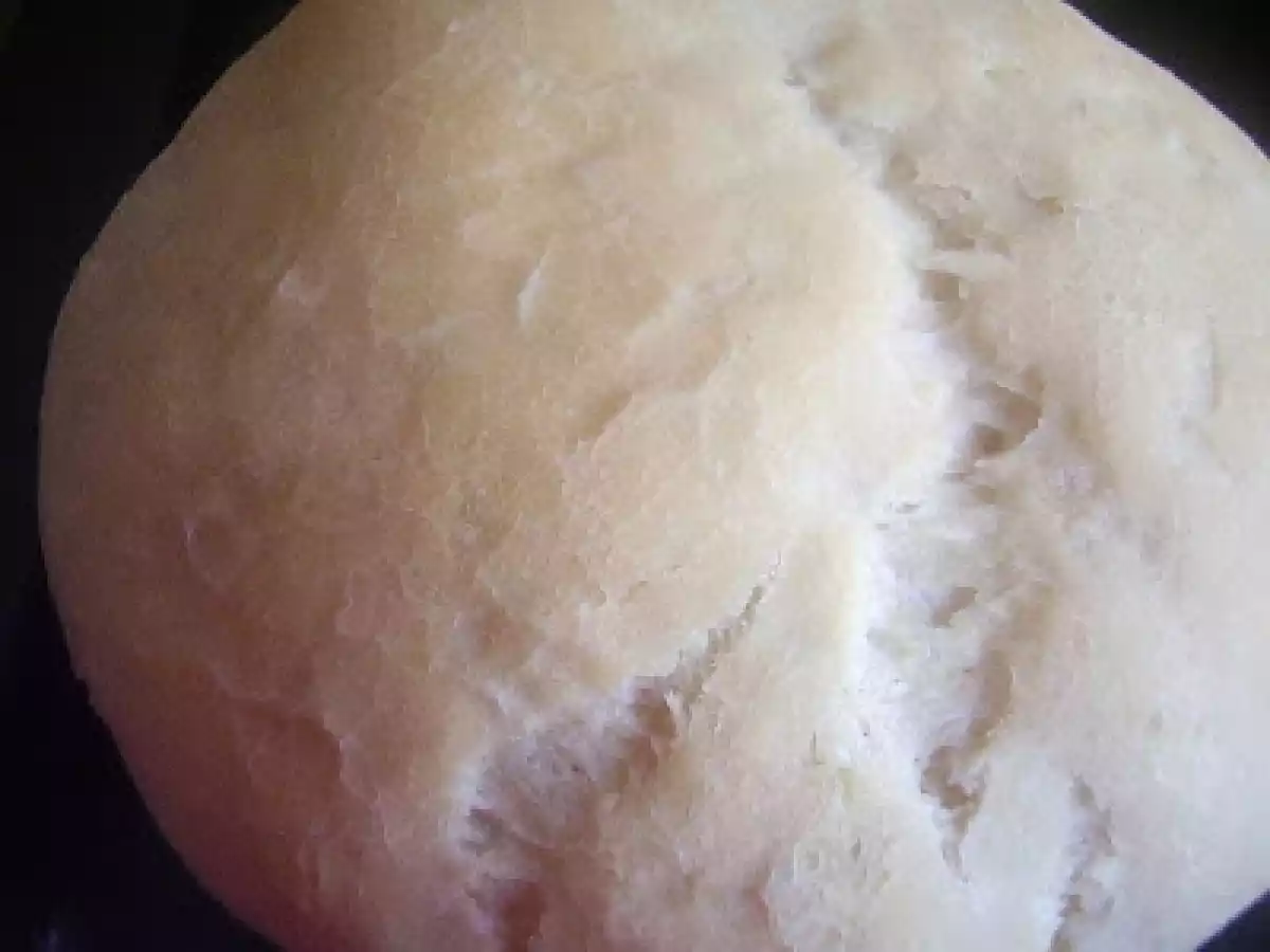 MASA PARA MOLLETES EN PANIFICADORA