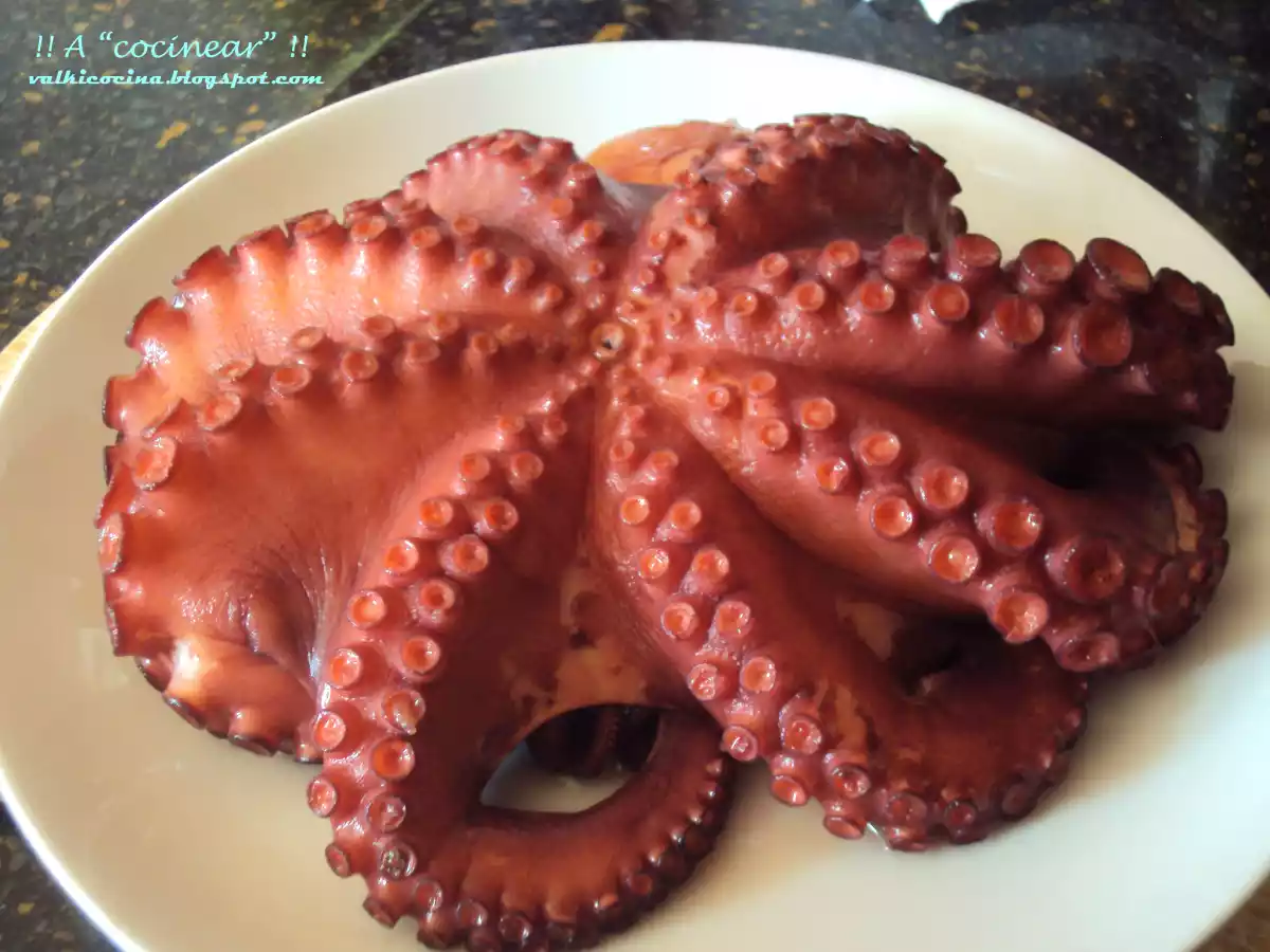 Pulpo a la parrilla - foto 2