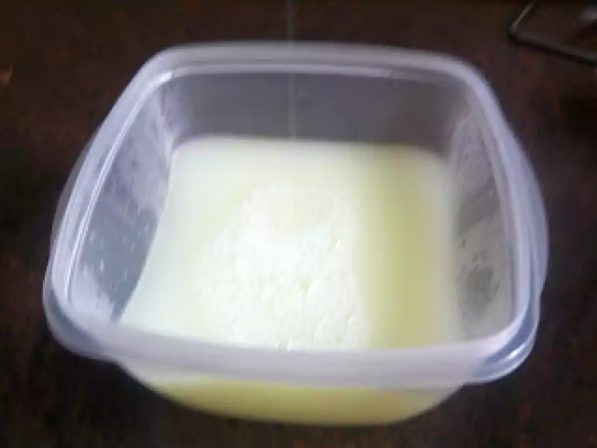 Queso fresco / cremoso - foto 3