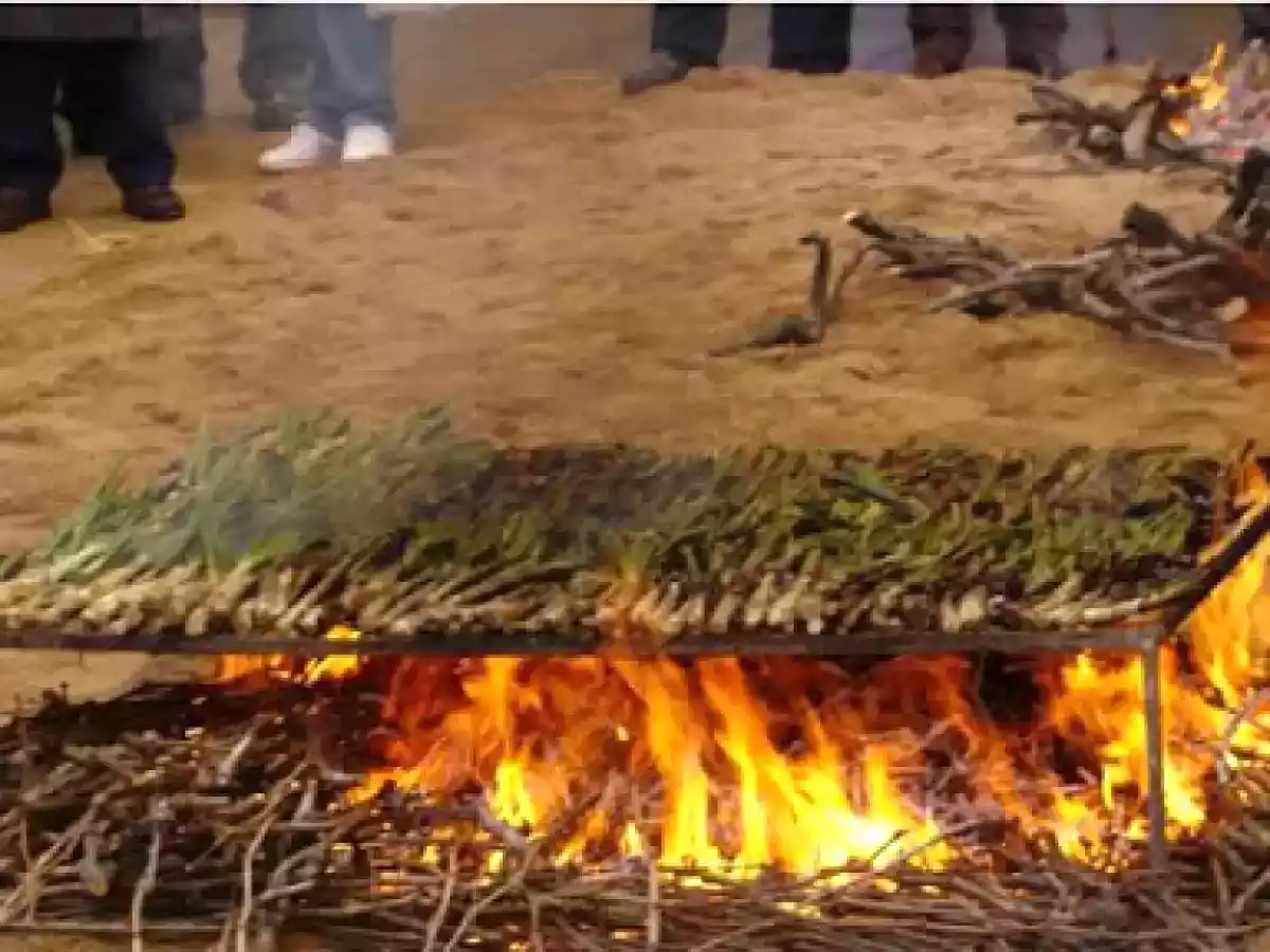 Salsa romesco y Calçots - foto 3