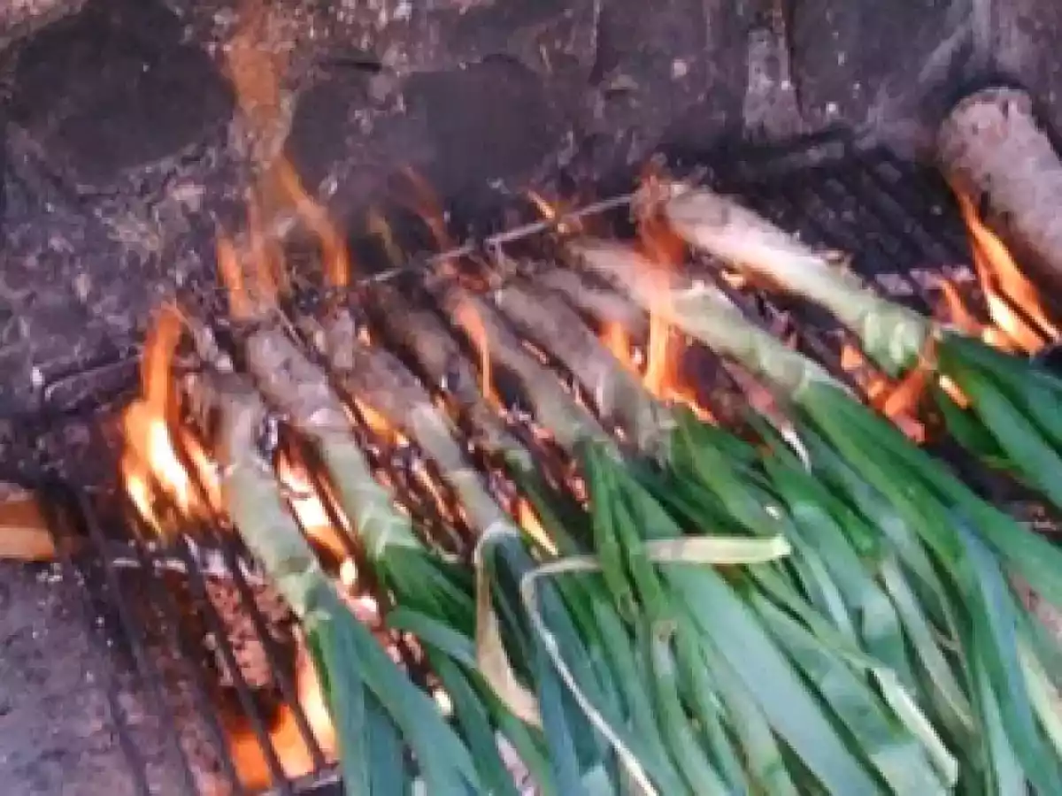 Salsa romesco y Calçots - foto 4