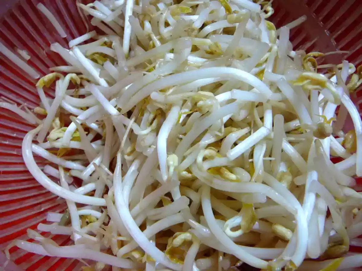 Vegetales salteados - foto 7